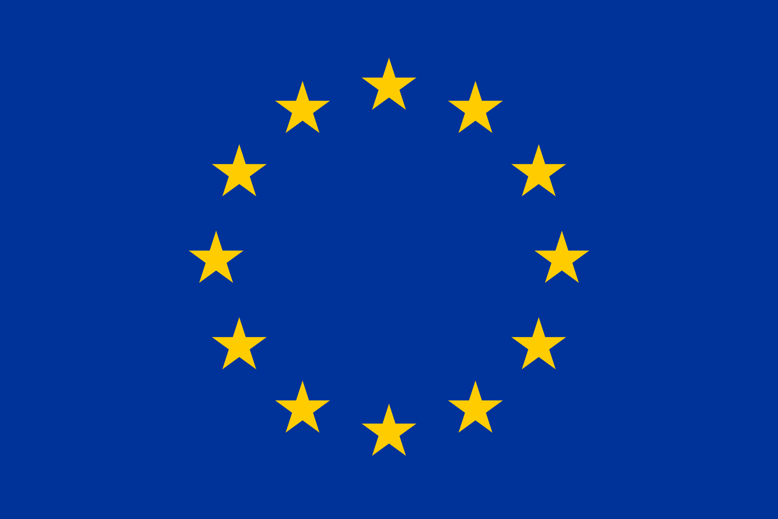 WRISTBAND European Union EU Flag SWEATBAND 7x8cm 